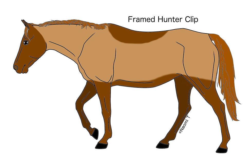 Framed Hunter Clip