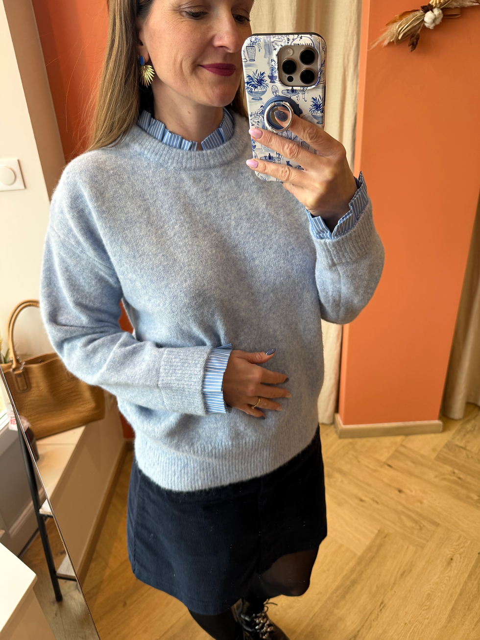 Miniature : Pull bleu ou blanc 