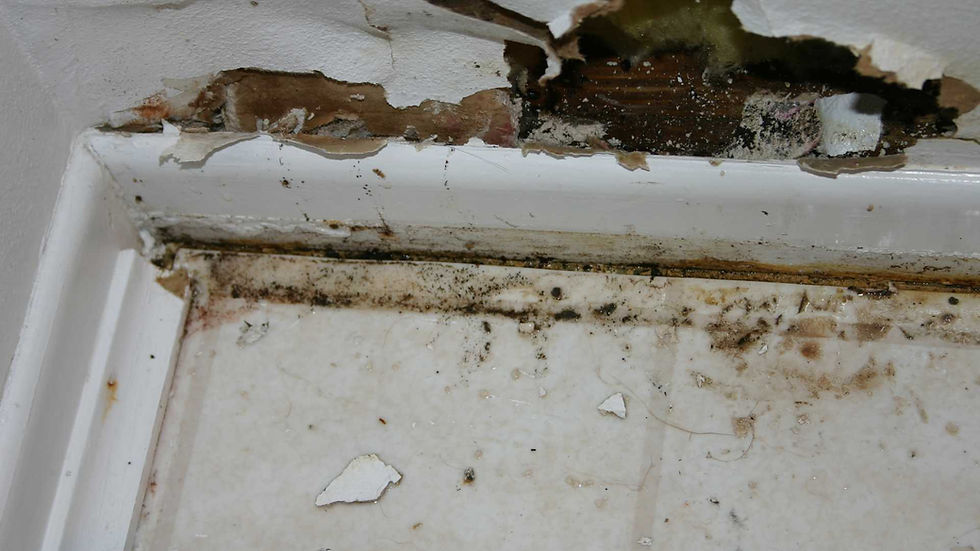 water damage repair
