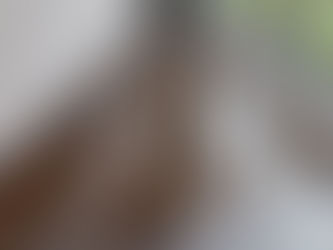 How Can You Prevent Future Water Damage in Your Beaverton Property?