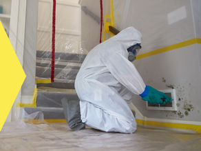 What Is the Cost of Mold Remediation in Beaverton?