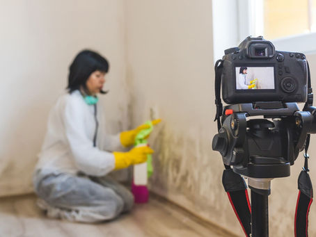 mold remediation process