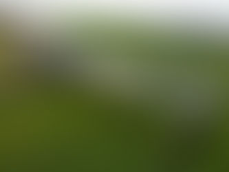 Fotovoltaico e agricoltura possono convivere? Uno studio rivela i benefici del sistema agrovoltaico