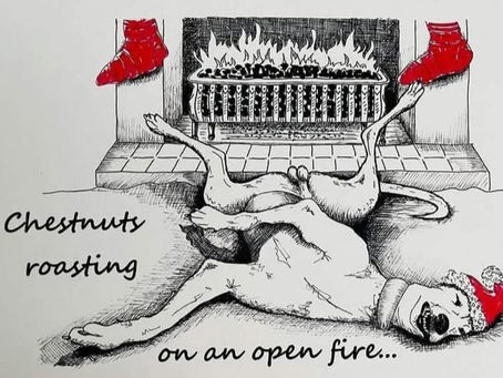 CHRISTMAS SEASON SURVIVAL 101!