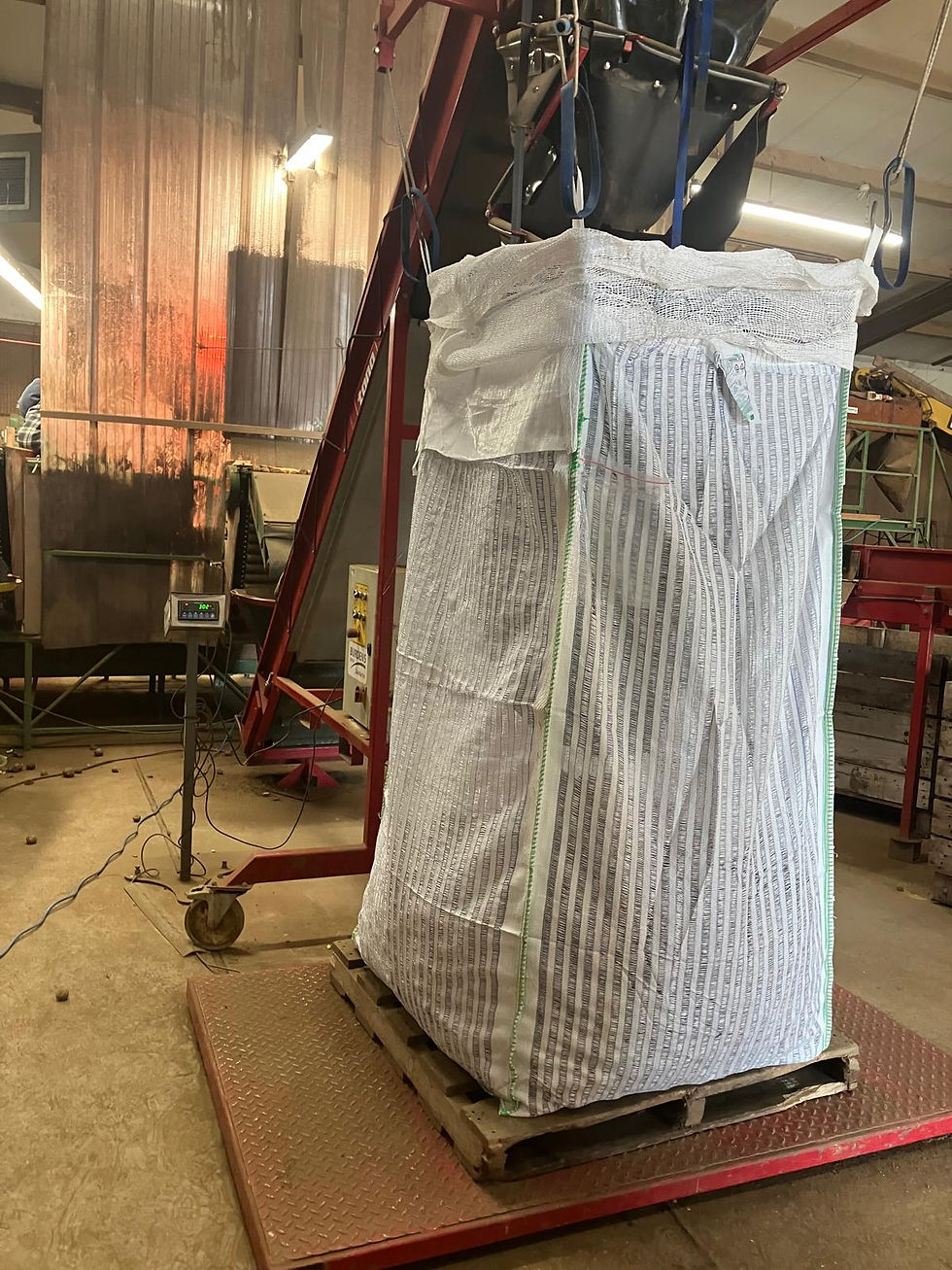 Seed grading operation