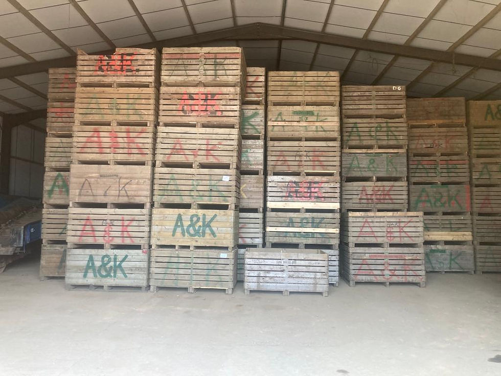1 Tonne Potato Boxes
