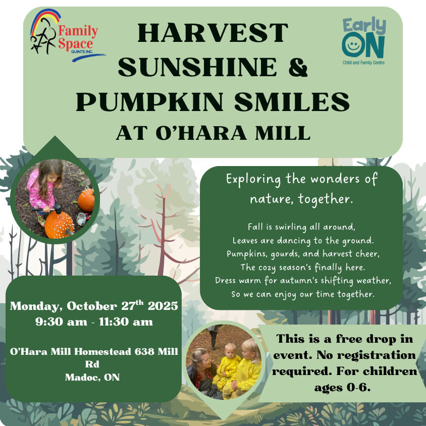 Harvest Sunshine & Pumpkin Smiles @ O'Hara Mills