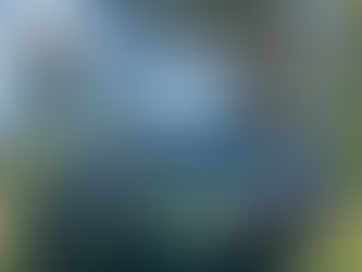 Septic, HSTP and Wastewater solutions for Bellthorpe, Stony Creek, Cedarton, Stanmore, Neurum, Mount Delaney, Rocksberg, Mount Pleasant, Ocean View and Everywhere In-Between