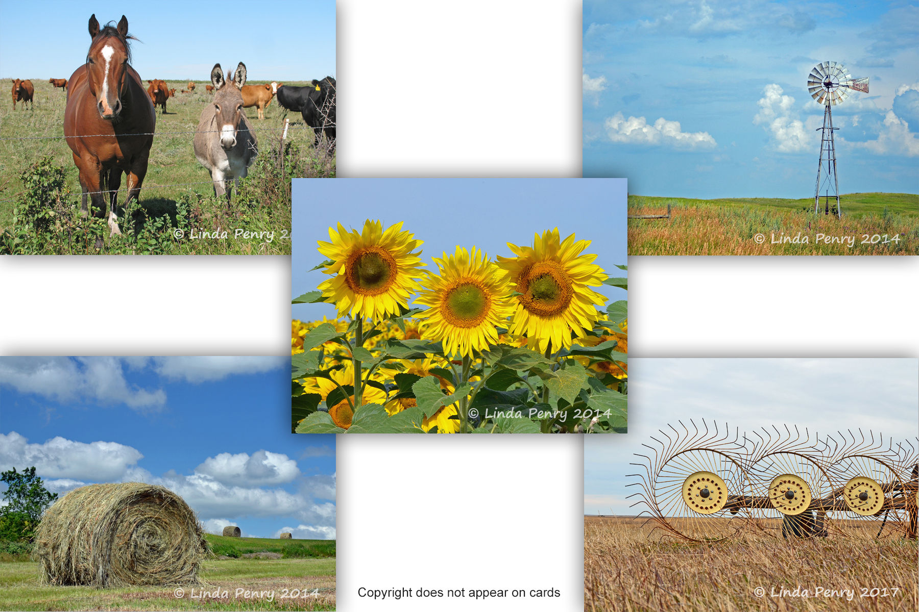 Dakota Heartland Notecard Pack