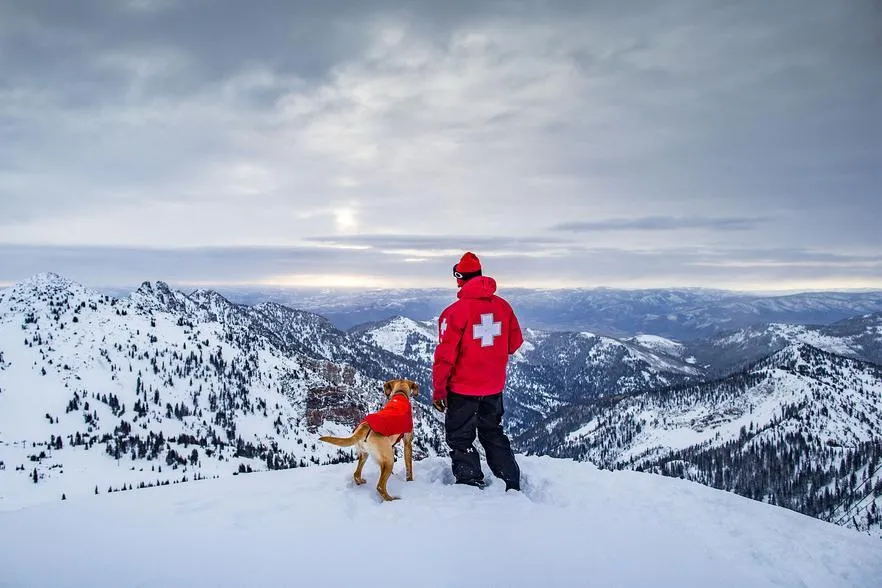 Ruffwear Vert Jacket