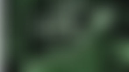 DÍVIDA EXPLODE POR CAUSA DOS JUROS, MAS GRANDE IMPRENSA JOGA A CULPA NOS GASTOS SOCIAIS