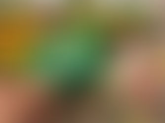 SINTSEP-PA AMPLIA CAMPANHA POR AUXÍLIO-NUTRIÇÃO E COBRA DO GOVERNO BENEFÍCIO PARA APOSENTADOS E PENSIONISTAS
