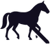no-horses_edited.png