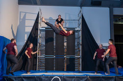 20190313-SRF bi de Turner-007