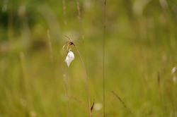 DSC00754