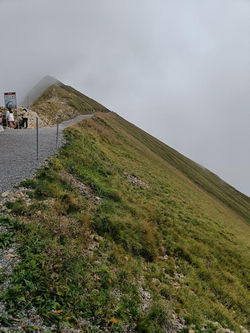 IMG20250822144322