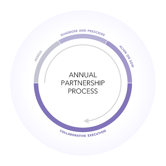 annual-partner-process.png