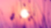 sun.jpg