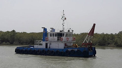 IMG_4773.JPG