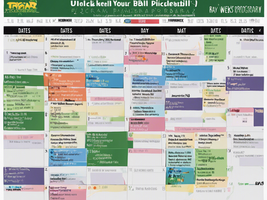 Unlock Your Pickleball Potential: 12-Week Program with Ray