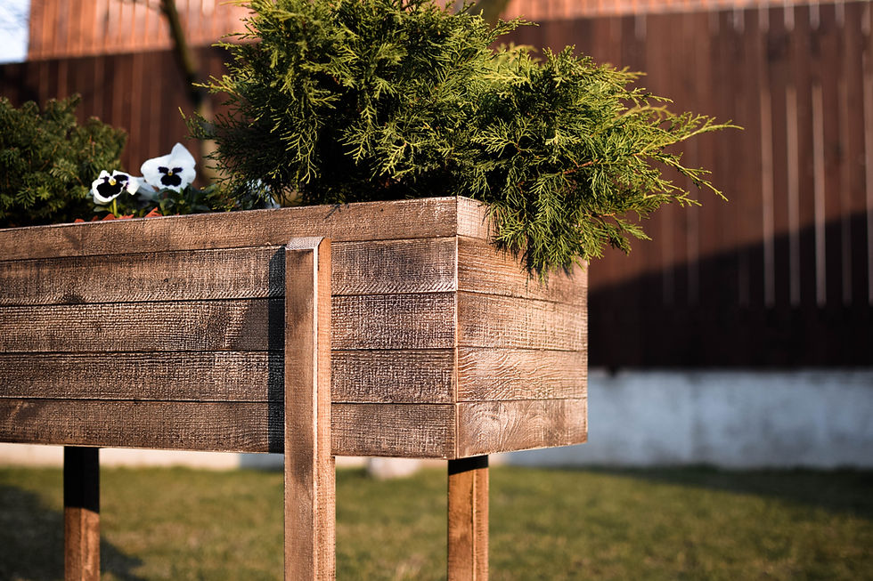 Miniatură: Jardiniera de gradina 3 (Ghivece de Flori) | Treva