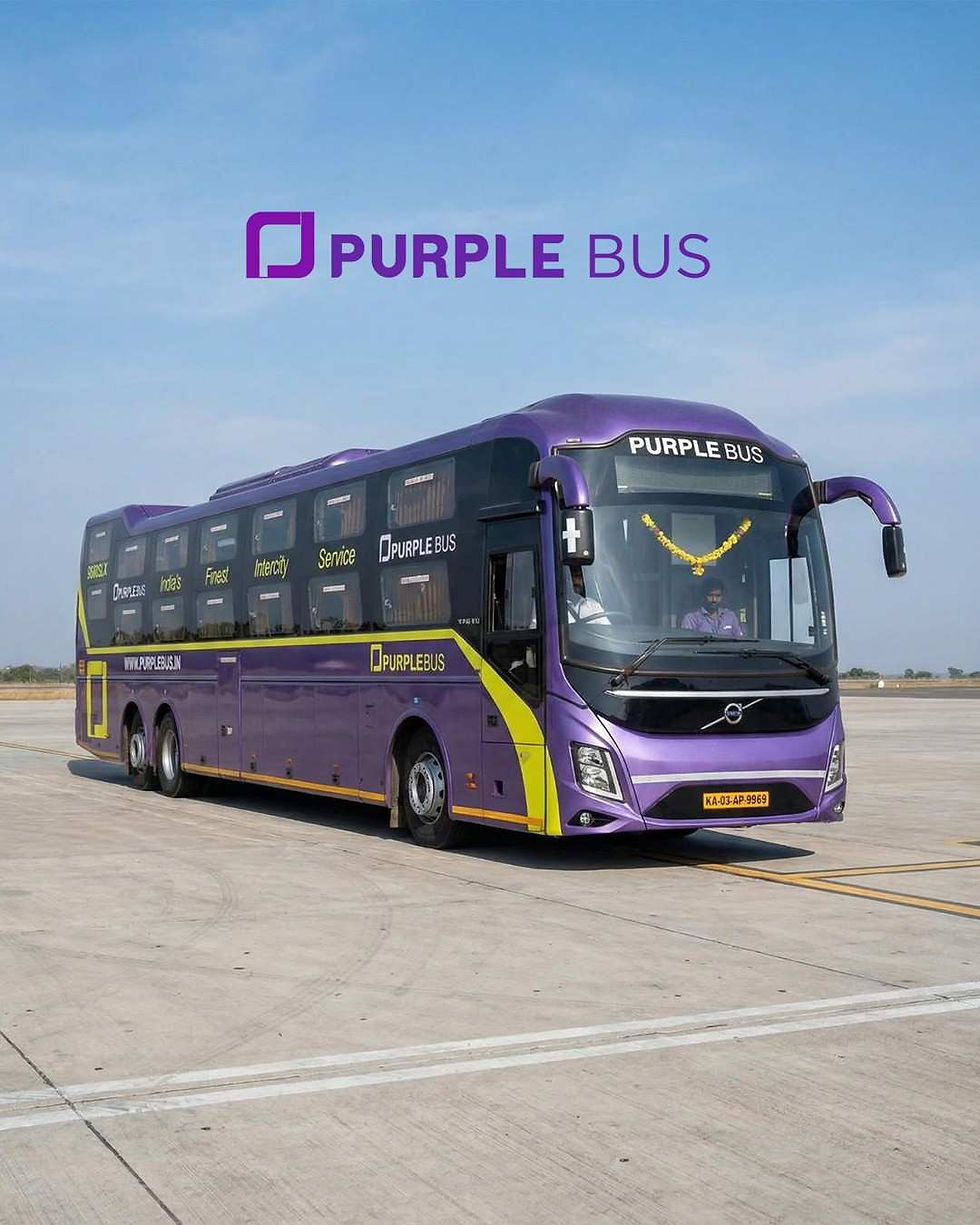 Purplebus.jpg