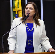 Soraya Santos: Atuação Legislativa e Compromisso com a Defesa dos Direitos das Mulheres
