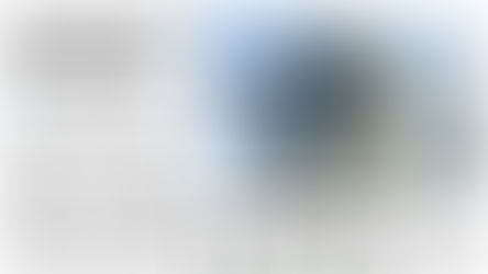 Vertical Gardens: Urban Oasis or Costly Façade? – AFR Feature