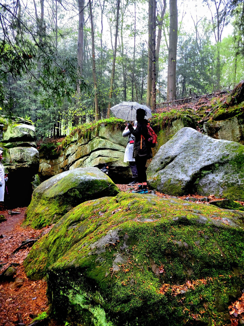 495349056_10165504699703574_3167523725420924050_n