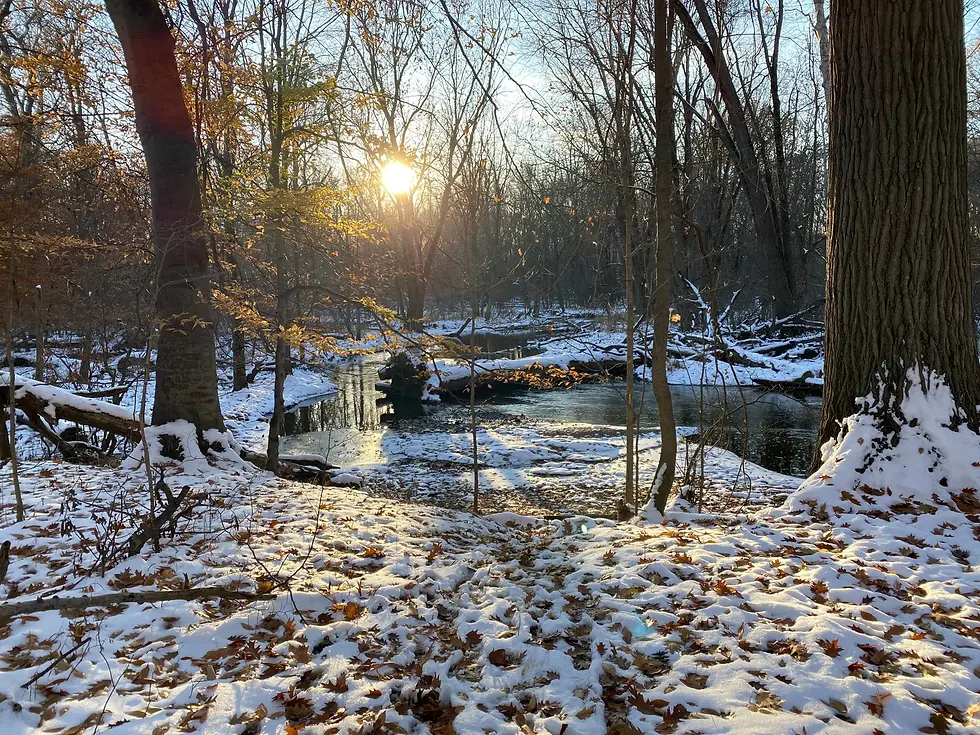 The Golden 50: A Winter Hike & Dine Experience