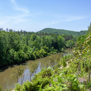 Saturday Morning Power Trek: Pere Marquette State Forest 