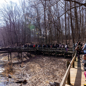 Rooted & Radiant: Hike & Dine’s Women’s Day Hike