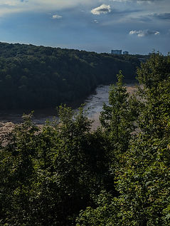 IMG_8538 (1)_edited.jpg