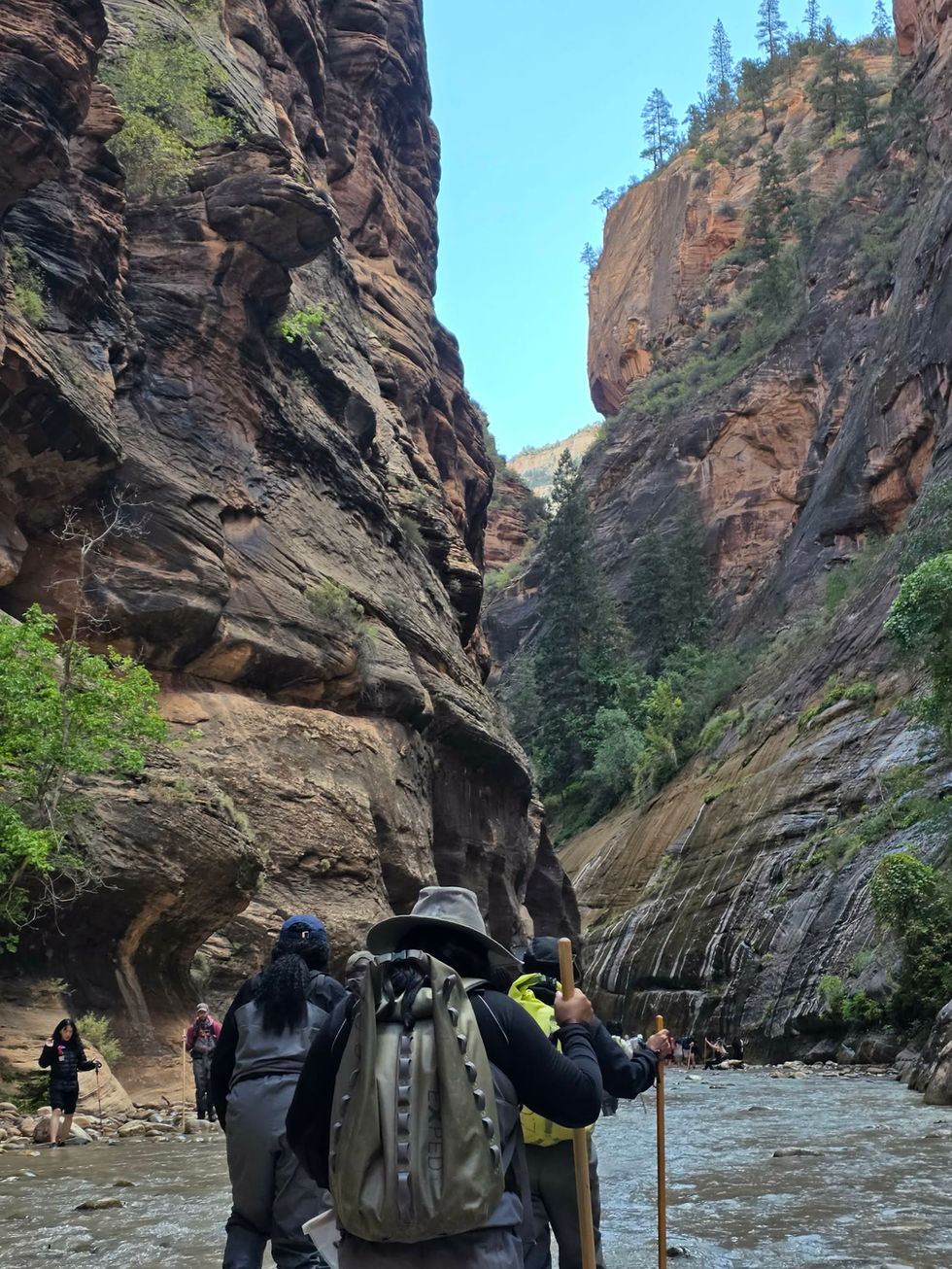 f482480a-b51e-4c5e-b6c9-e7b15c7bfe87