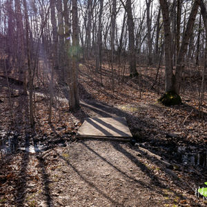 Train for the Trails: March Series + Sponsor My Steps Fundraiser