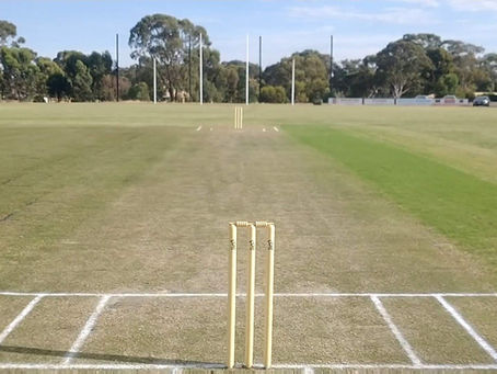 Assistance needed for Marist turf wicket