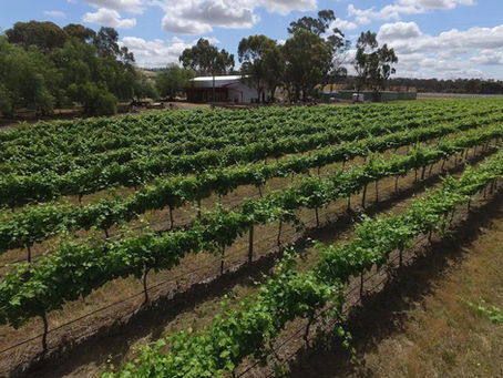 Wine Tasting and Tour - Saturday 20 September