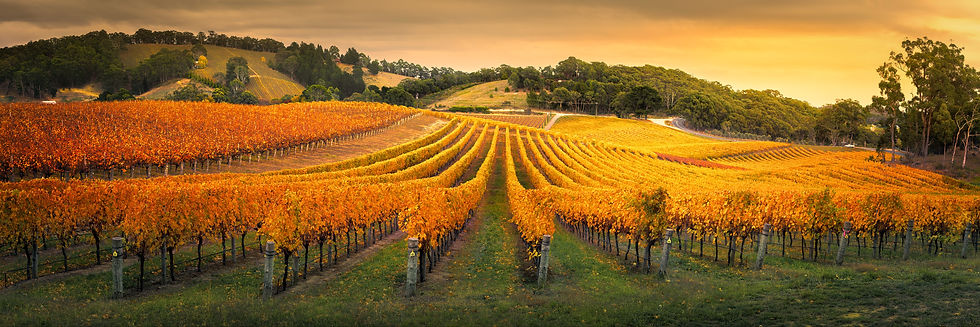 Funday Farm family accommodation Adelaide Hills vineyards