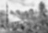 Land clearing in South Australia in the 17th century