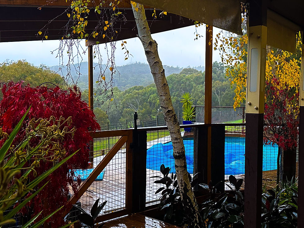 accommodation adelaide hills.jpg