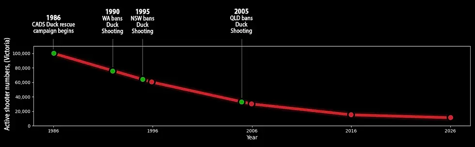 Shooter numbers timeline.webp