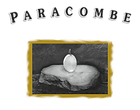 paracombe-logo-20px-bottom-padding.png