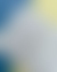 Elefant beginnt mit E!