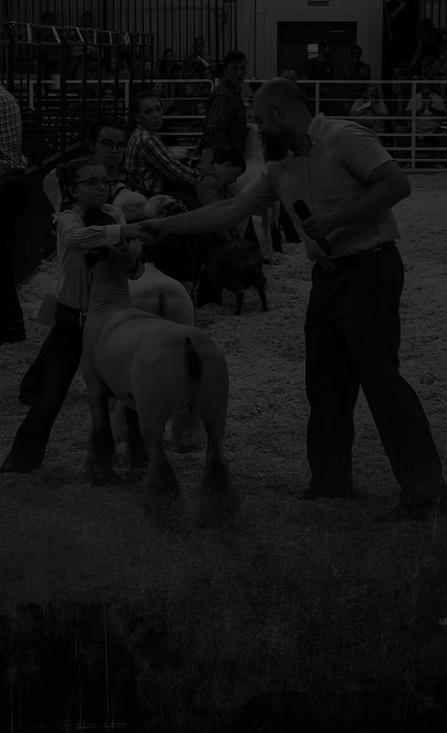 ESS About Page 1.jpg