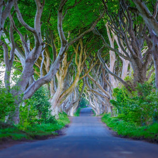 Irlandia