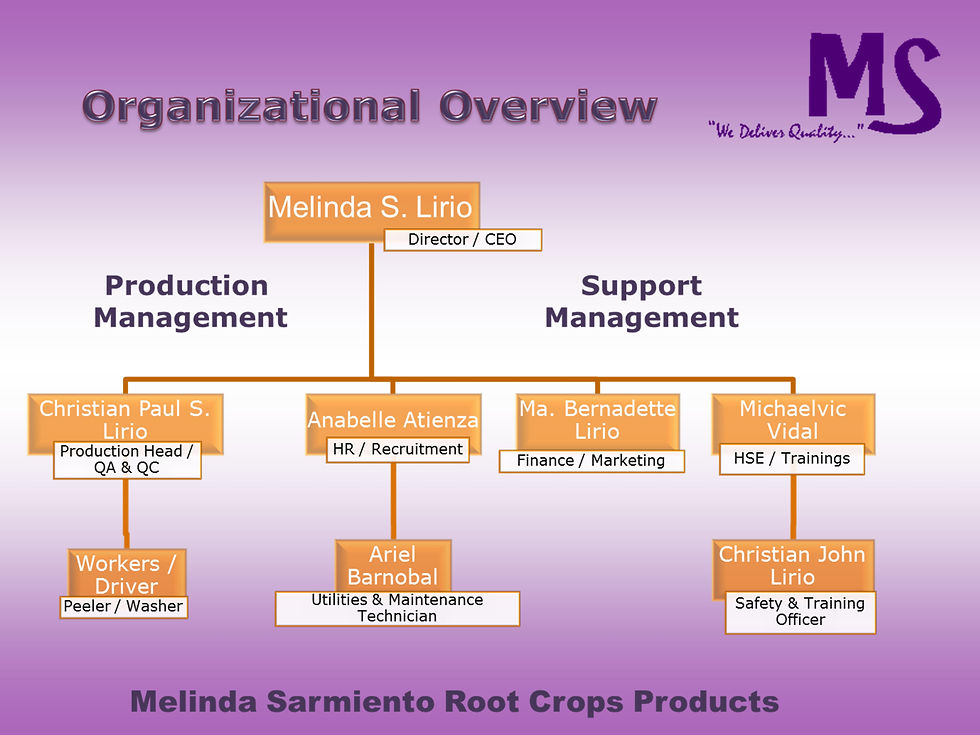 Company Overview