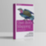 Agile User Story Mapping Jeff Patton book cover