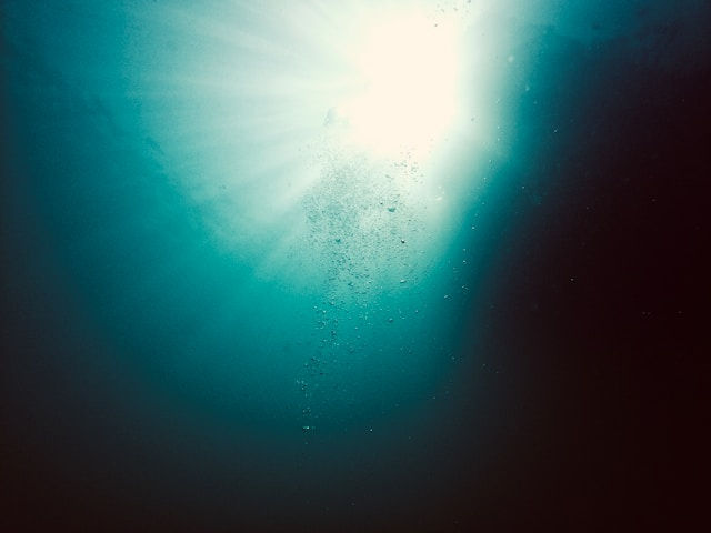 elion-jashari-D6921AurfWE-unsplash.jpg
