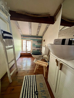 Salle Eau Cabanon Villa L'occitane