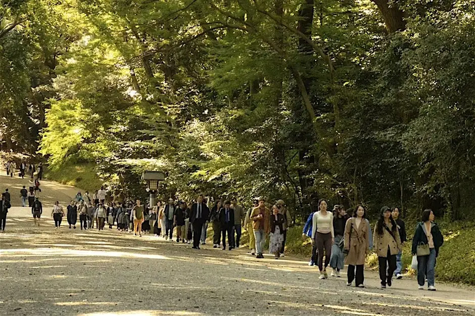 Walk Instead of Scroll